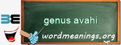 WordMeaning blackboard for genus avahi